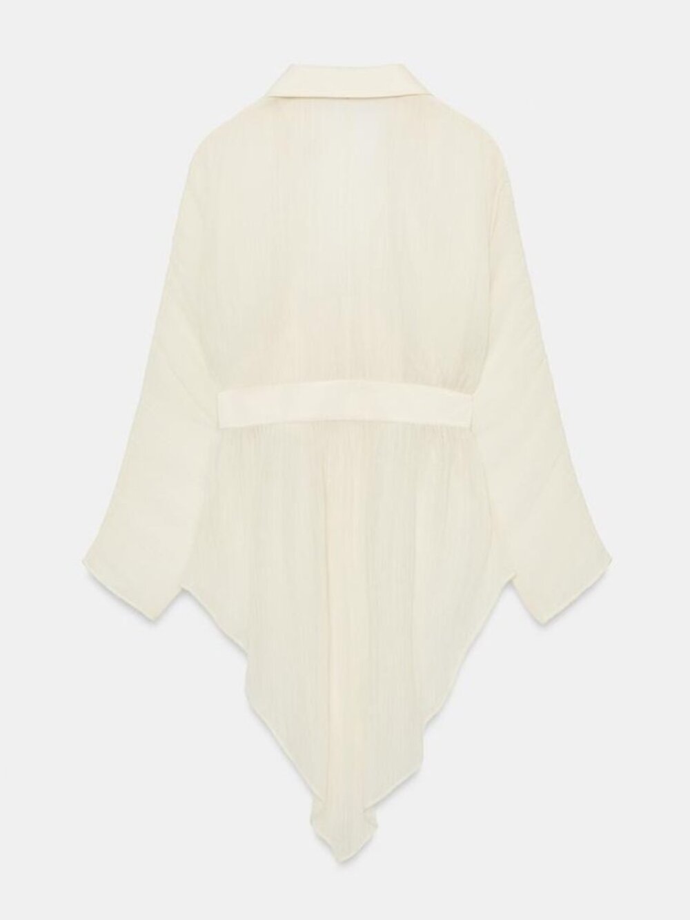 Zara Sheer Cream Button-Front Blouse - Picture 9 of 10